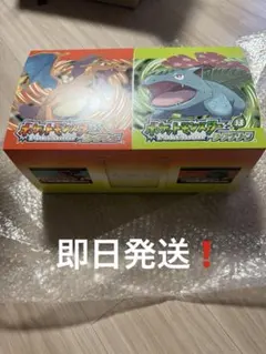 即日発送❗️ ファイアレッド・リーフグリーン　30周年特別版リーフグリーン