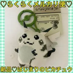 本日限定価格‼️️新品タグ付❤️ポケモン＊30th はじまりのピカチュウ マスコット
