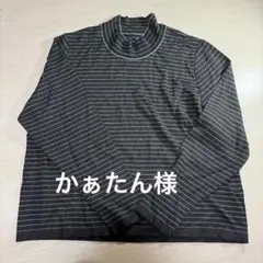 chamois カットソー　焦茶とブルーかグリーンに見えます