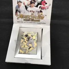 ソフトバンクホークス　砂川リチャード　ベースボールカード　現読売ジャイアンツ