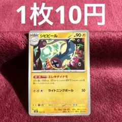 【在庫1】シビビール M2a 048/193