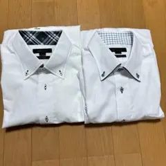 Item thumbnail for item 0b8073d2-58ce-4cab-9ebc-a007e5aaded6