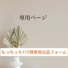 もっちっち117様専用出品ページになります
