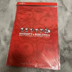 ユニバーサルスタジオジャパン スヌーピー クリスマス限定 クリアファイル