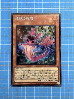 遊戯王 蛇眼の炎族 シークレットレア 1枚　WCS2025