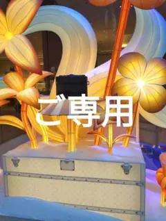 ゆきな様 リクエスト 2点 まとめ商品