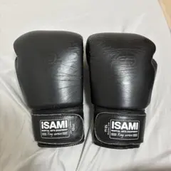 TWINSSPECIAL ボクシンググローブ 10oz ISAMIレガースセット TWINSSPECIAL ボクシンググローブ 10oz ISAMIレガースセット - メルカリ