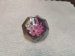 Item thumbnail for item 1d39bc28-edd4-465b-a81a-81bf3becf304