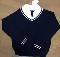 Item thumbnail for item 36439e16-1334-46f4-b291-5565959c78ea