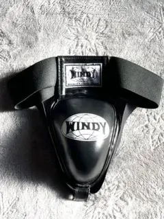 Item thumbnail for item b05a7cec-158c-4964-b60c-657b2905594a