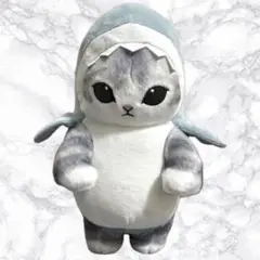 モフサンド　サメにゃん BIG ぬいぐるみ　おすましにゃん