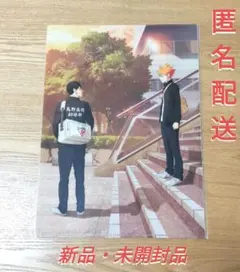ハイキュー クリアファイル アニメ10周年記念展 日向翔陽 影山飛雄 A4