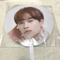 Item thumbnail for item 1aed732a-49ef-44ca-a574-141c40dc9fb5