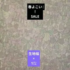 Item thumbnail for item 0a491acd-10ed-412d-80f4-292bc45a9762