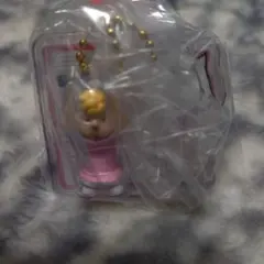 SNOOPY パッケージチャーム＆チョコボーロ サリー