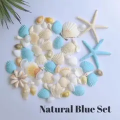 Item thumbnail for item 3a5f55eb-63fc-4227-91b2-ab1a753eec09