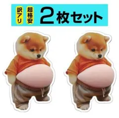 <訳あり>2枚 柴犬 ぷにぷに シール おなか 3D ぷっくり シール帳 イヌ