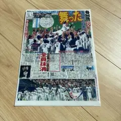 中日ドラゴンズ 2010年優勝記念 中日スポーツ クリアファイル
