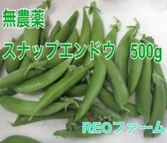 栽培期間無農薬　スナップエンドウ　500g REOファームのサムネイル
