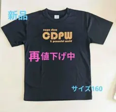 新品未使用　半袖Tシャツ サイズ160 紺