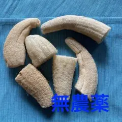 肉厚 4本 25～30cmへちまたわしスポンジエコ生活 無農薬無漂白 - メルカリ