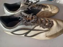 Item thumbnail for item a2f06aab-8d85-49b4-aaf3-86bac248fce4