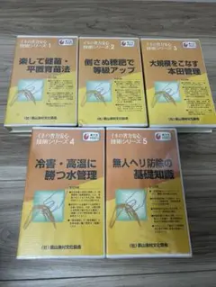 Item thumbnail for item d2ca25a8-0907-4a9d-92f5-38a9a9ce5eed