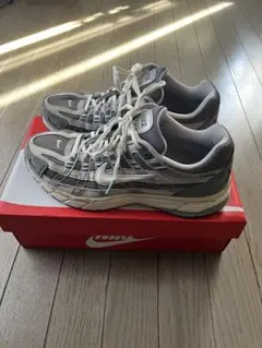希少 NIKE P6000 26cm