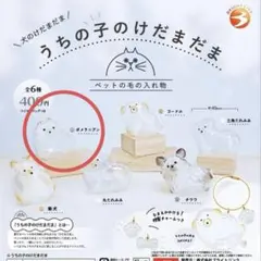 うちの子けだまだま 犬 ポメラニアン