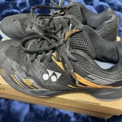 Item thumbnail for item a94ca040-c513-48ac-899b-5f9a3d703398