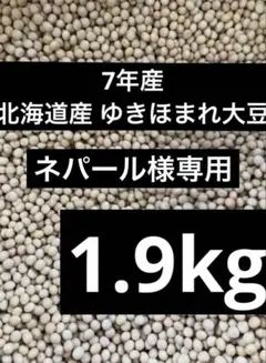 ネパール様専用