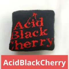 2026年最新】acid black cherry リストバンドの人気アイテム - メルカリ