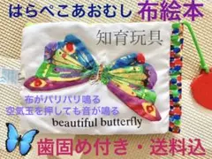 はらぺこあおむし 布絵本 知育玩具 歯固め付き 送料込みのサムネイル