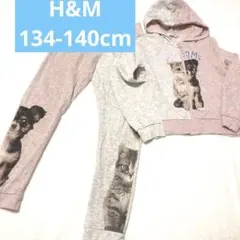 H&Mスウェットセットアップ134-140