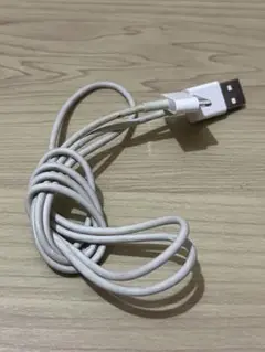 Apple純正 30ピンdockケーブル