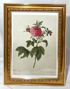 2025年最新】ボタニカルアート 水彩の人気アイテム - メルカリ 水彩画