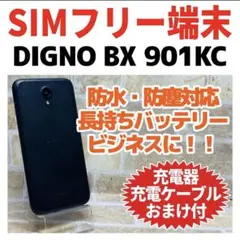 Item thumbnail for item 8b94e1f6-9a67-48f3-a978-626cd2f63c13