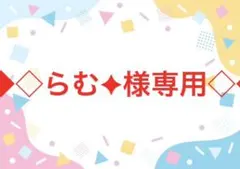 ◆◇らむ✦様専用◇◆