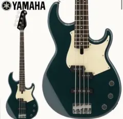 BB434 TBティールブルー　ソフトケース付きのサムネイル