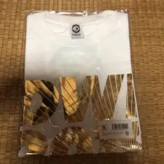 Item thumbnail for item 7995d43c-6162-481b-91ad-3d53d148a7ab