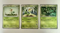 ツタージャ 3枚セット