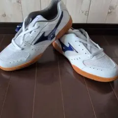 신제품 미즈노 미즈노 스쿨 실내 27cm 운동화 실내화