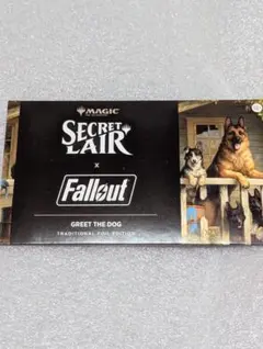 未開封Fallout Welcome to New Vegas Foil版|mercari商品代購│mercari