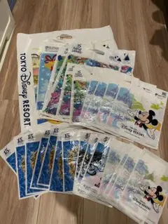 24枚　ディズニー　ディズニーリゾート　お土産袋　ショップ袋