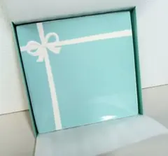 Tiffany&Co. ティファニー ブルーボックス プレート 未使用保管品
