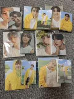 carat盤 バインダー まとめ売り