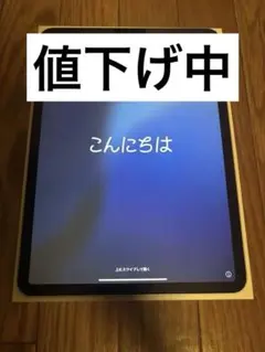 iPadpro11インチ　Wi-Fiモデル　256GB Apple pencil