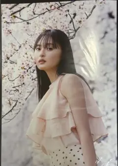 遠藤さくら写真集 ランダムポストカード 6種コンプ - メルカリ