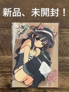 【未開封】　閃乱カグラ Burst 紅蓮の少女達 少女達の極秘ファイル+CD付き