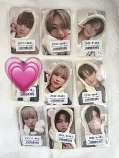 &TEAM 雪明かり トレカ ふわふわアニマルトレカ8枚セットニコラス以外